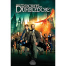 Movie: Fantastic Beasts: The Secrets of Dumbledore