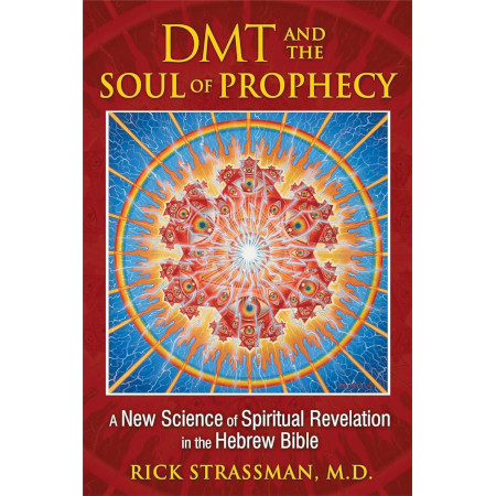 DMT and the Soul of Prophecy