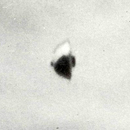 Australia UFO 1966