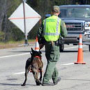 Photo: Border patrol agents are stopping people on highways in New England to check their citizenship