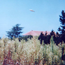 Disc-Shaped UFO in Pacific Palisades