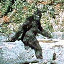 Photo: Georgia Men Claim They've Found Bigfoot