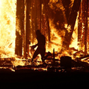 Man Falls Into Flames at Burning Man