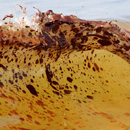 Crude Oil Washes Ashore