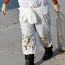 BP Oil Spill Cleanup
