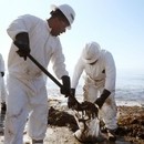 Photo: The California Oil Spill Is Even Worse Than We Thought