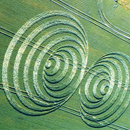 Avebury Trusloe Crop Circle 2006