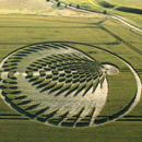 Oxfordshire Crop Circle 2006