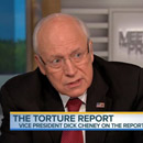 Photo: Cheney Calls Torture Report A Crock, Says He'd 'Do It Again In A Minute'