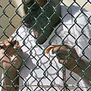 Photo: Guantanamo Abuse Boasts probed