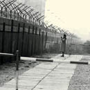 Berlin Wall 1962