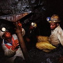 Photo: 74 of 3,000 rescued from S. Africa mine