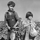 Children and the Sugar Beets