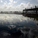 Photo: Massive oil spill clogs Mississippi River