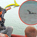 Photo: Nesski? Fishermen demand investigation of Russian lake creature