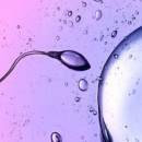 Photo: Scientists Caught Sperm Defying a Major Law of Physics